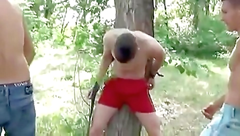 Excellent Porn Scene Homosexual Wrestling Best Will Enslaves Your Mind